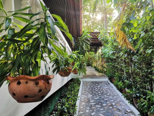 on the hill karon resort