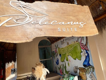 suites pelicano holbox