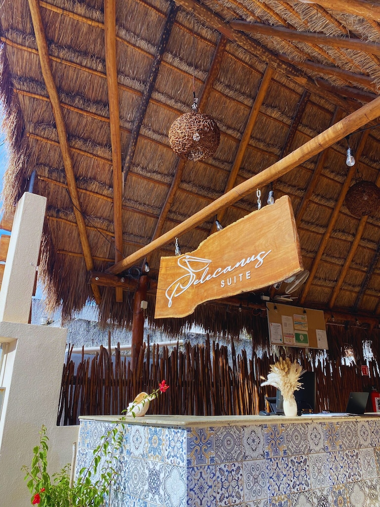 suites pelicano holbox