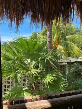 suites pelicano holbox