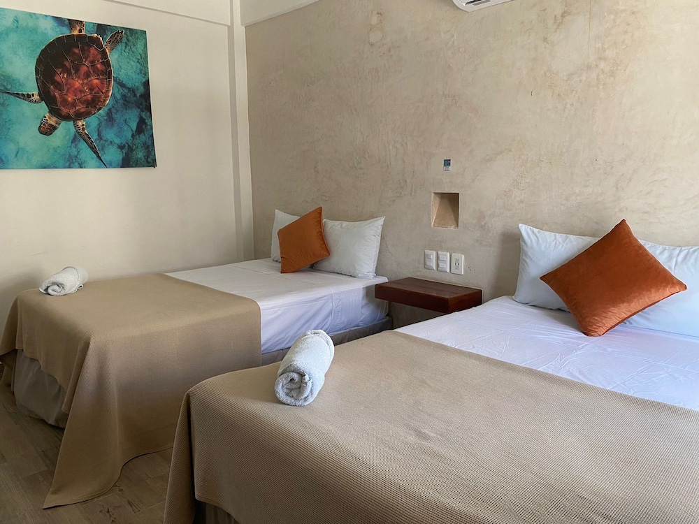 suites pelicano holbox