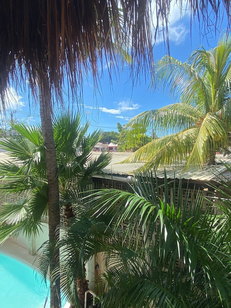 suites pelicano holbox