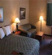 comfort inn near greenfield village