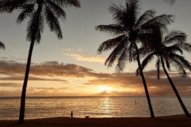 sea change beachfront apartments