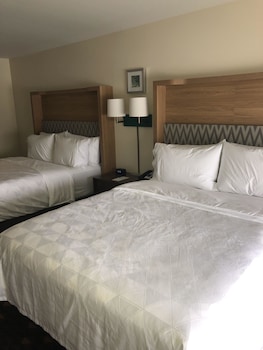holiday inn and suites mount pleasant