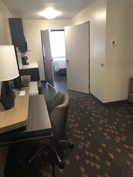 holiday inn and suites mount pleasant