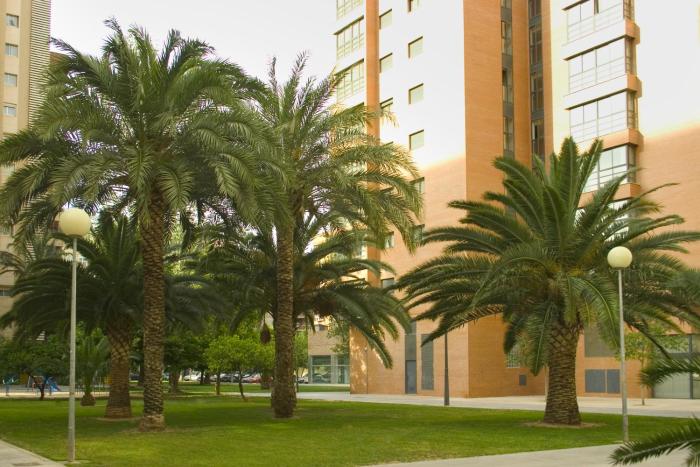valencia