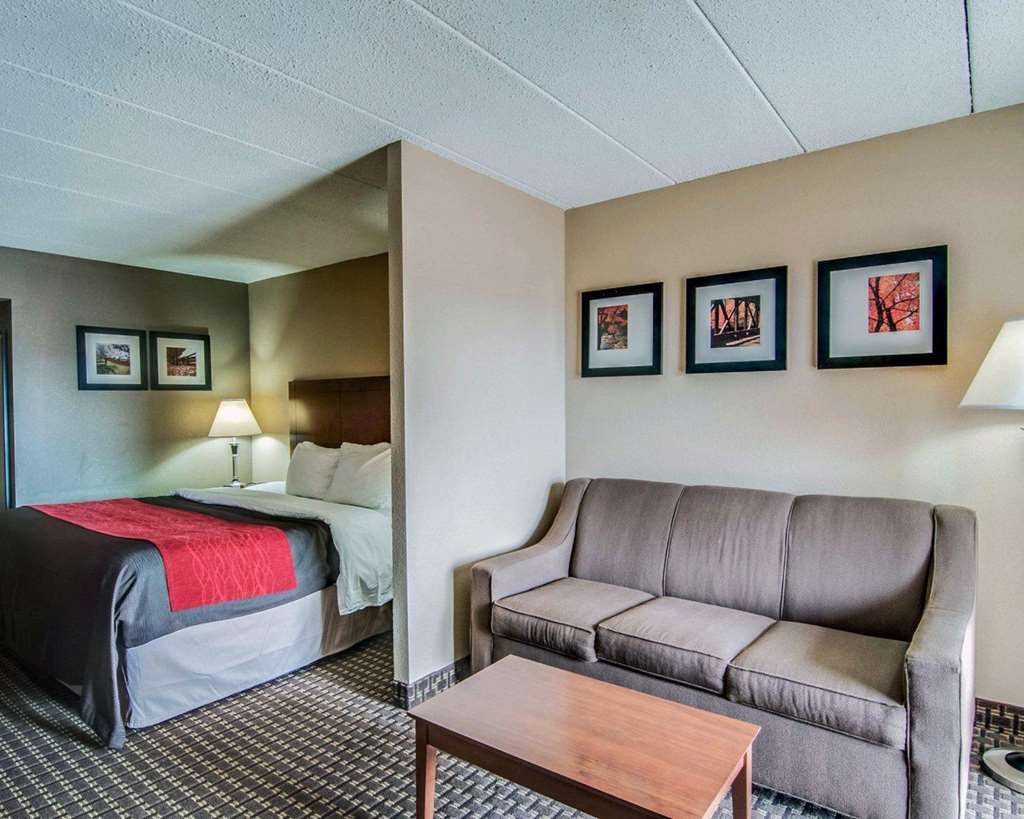 comfort inn and suites