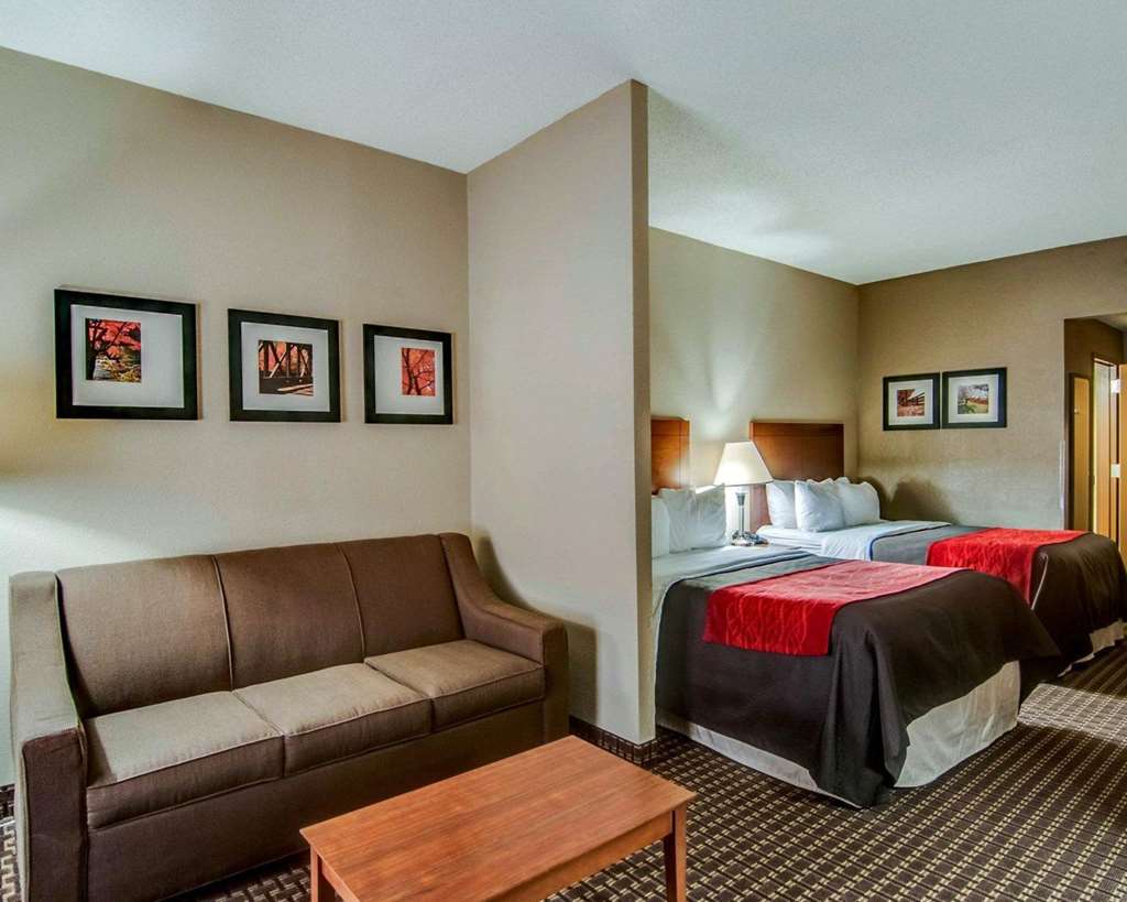 comfort inn and suites