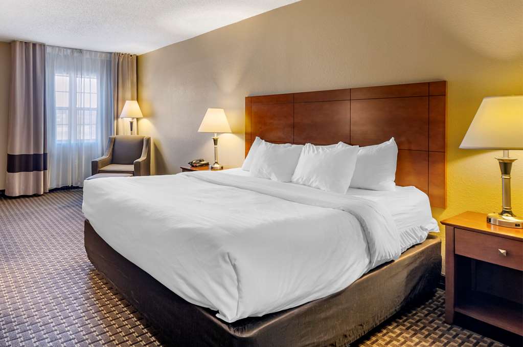 comfort inn and suites