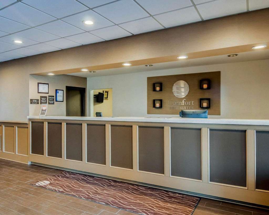 comfort inn and suites