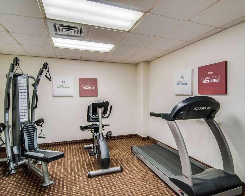 comfort inn and suites