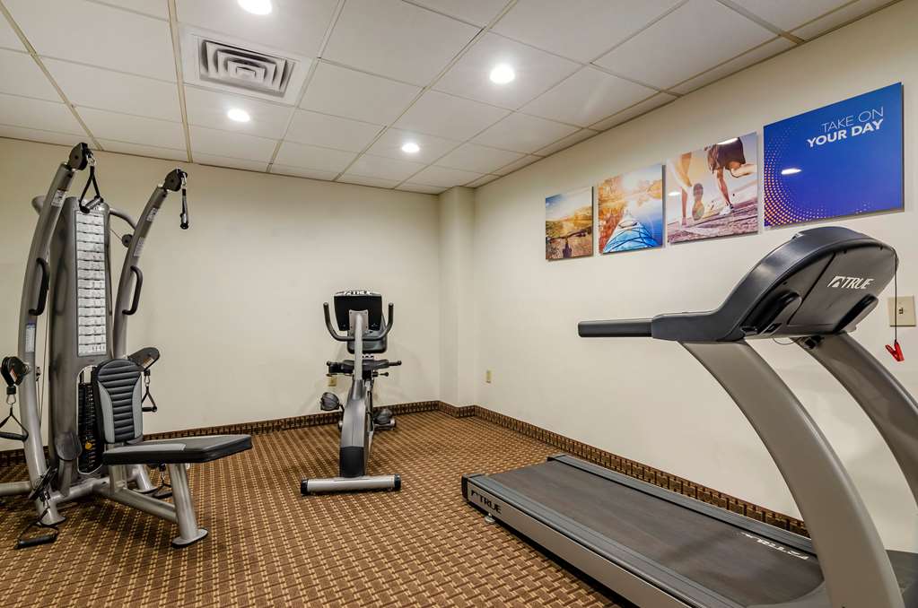comfort inn and suites