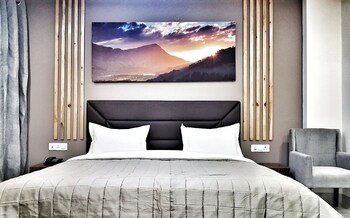 hotel aerocity purple orchid