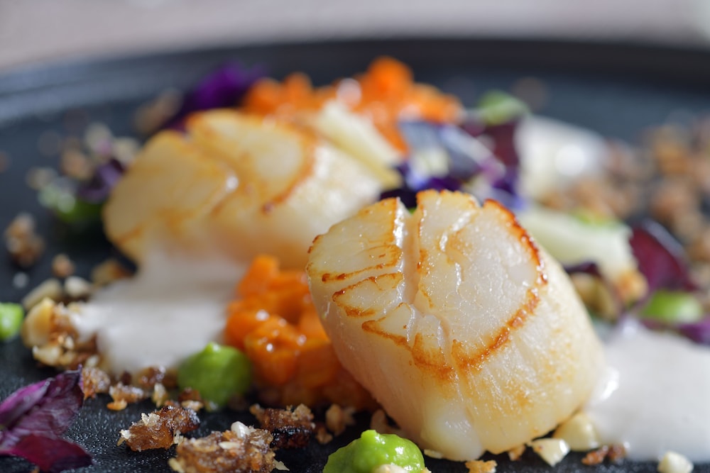 movenpick hotel the hague