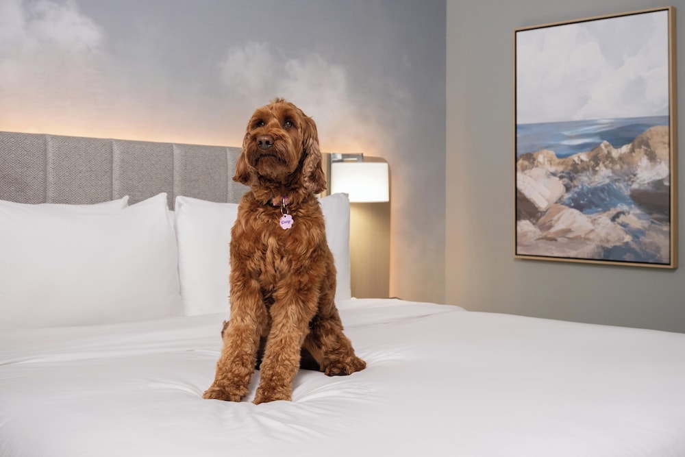 hotel indigo east end by ihg