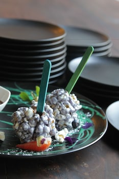 26 degrees south bush boho hotel