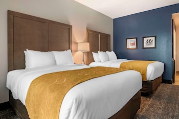 comfort inn and suites jacksonville orange park