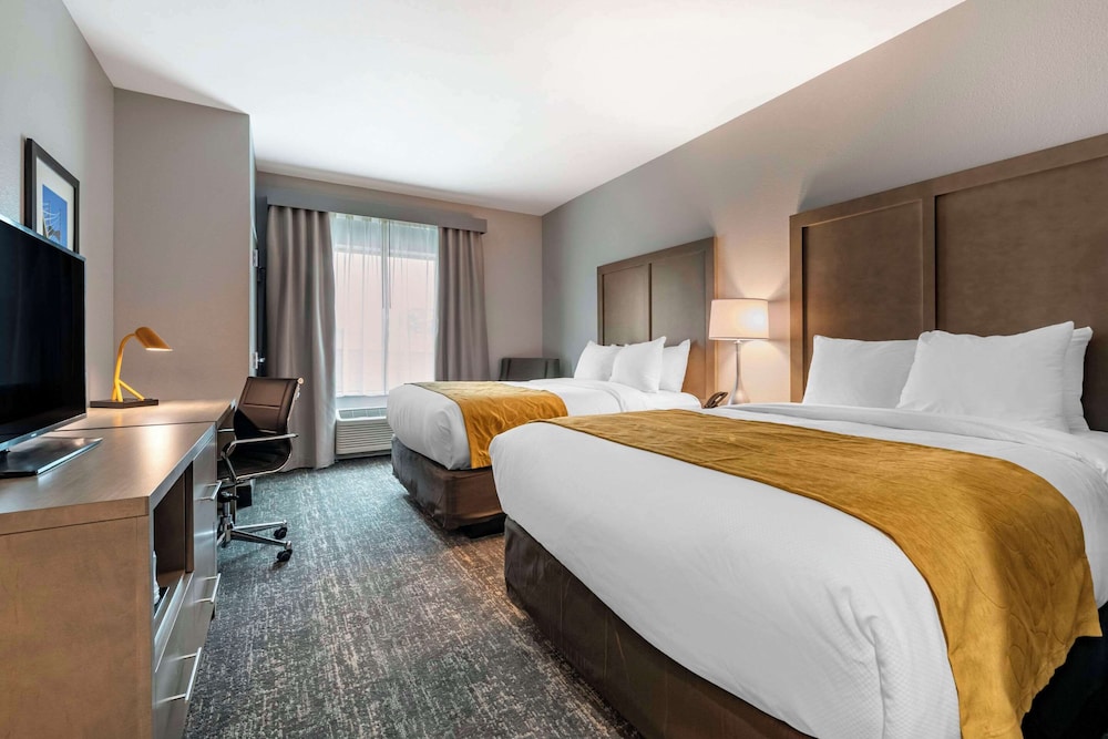 comfort inn and suites jacksonville orange park