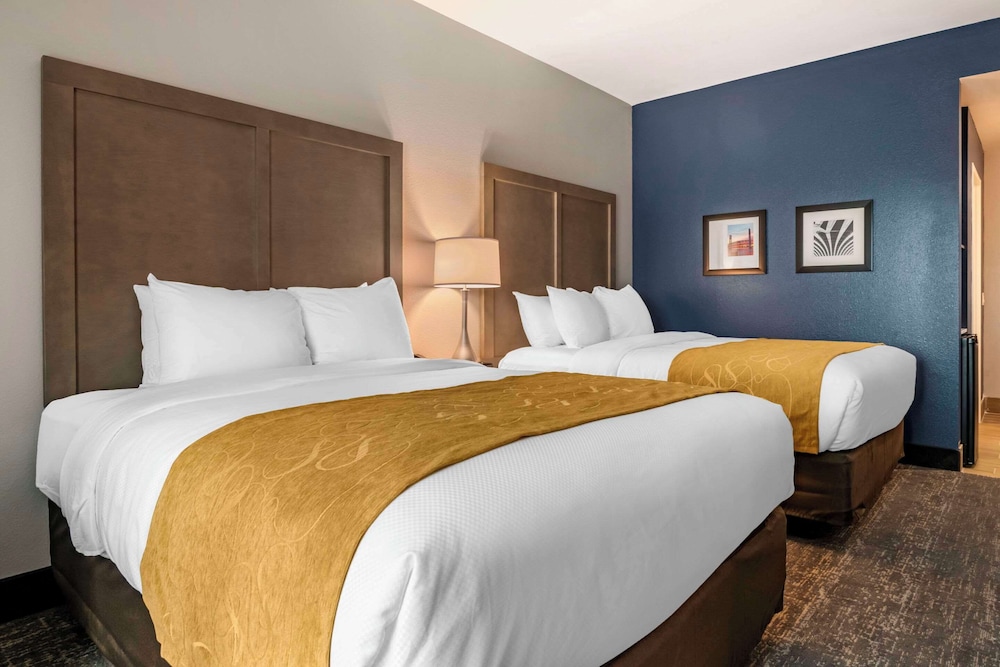 comfort inn and suites jacksonville orange park