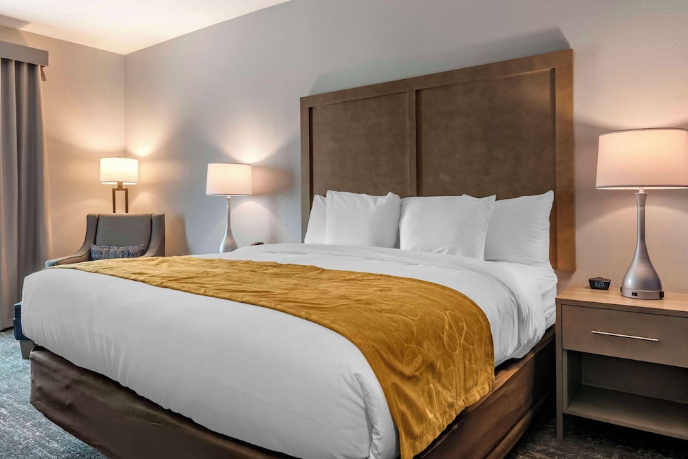 comfort inn and suites jacksonville orange park