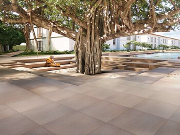 marasa sarovar premiere bodhgaya