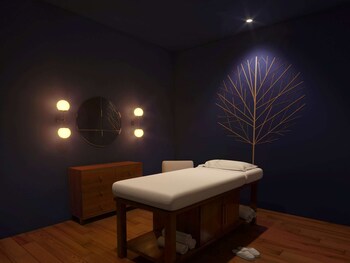 marasa sarovar premiere bodhgaya