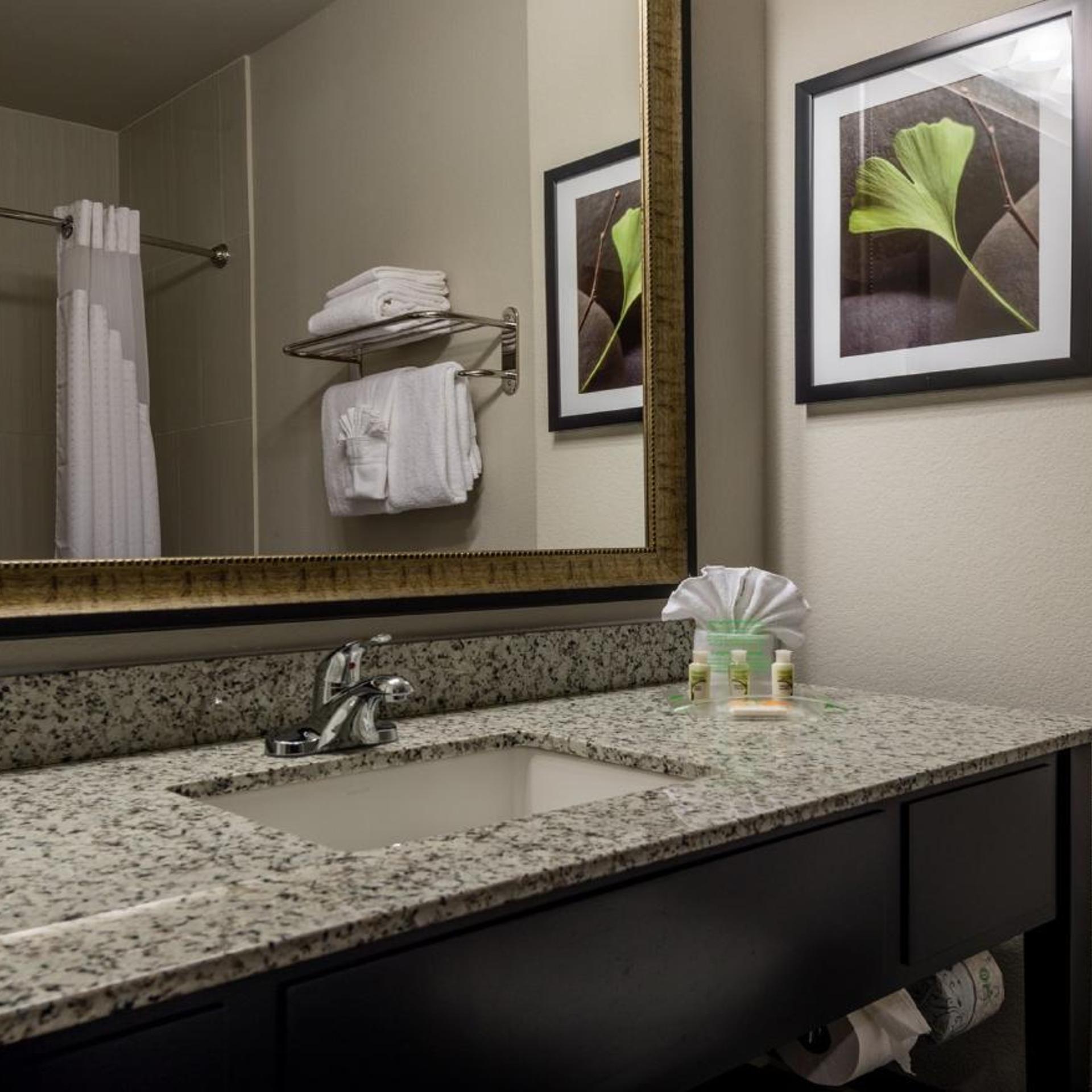 holiday inn austin airport by ihg