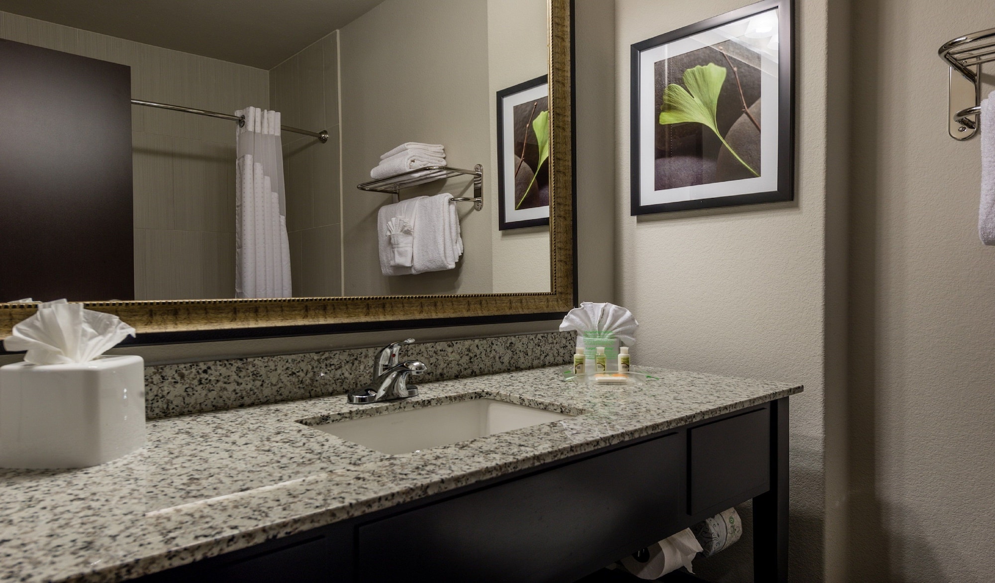 holiday inn austin airport by ihg