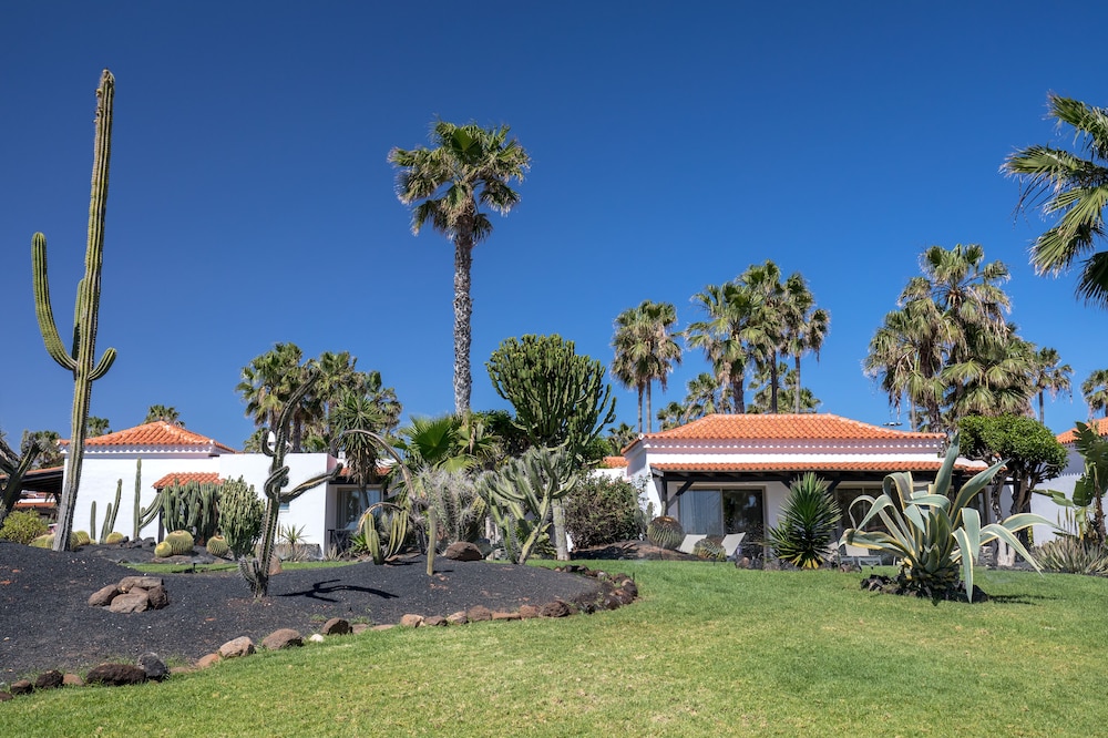 barcelo fuerteventura royal level adults only