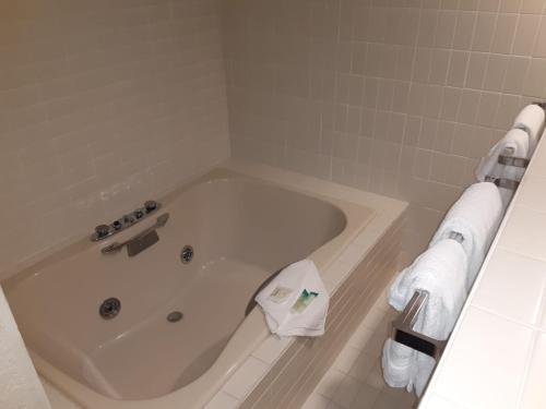 eleven boutique hotel