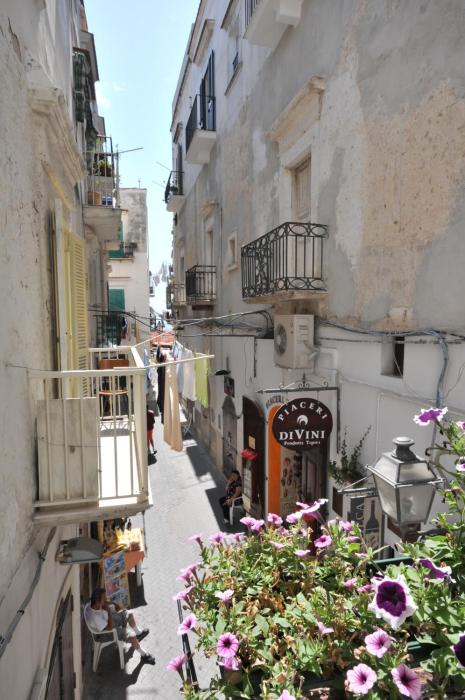 relais parallelo 41