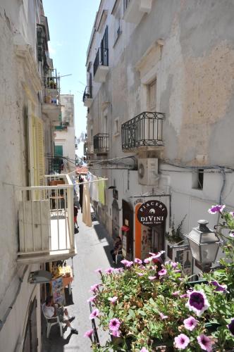 relais parallelo 41
