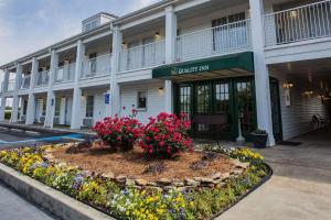 quality inn waynesboro