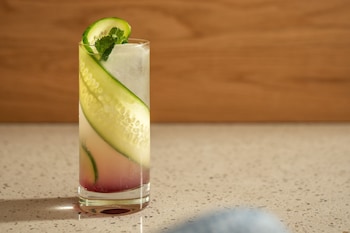 hotel marcel new haven tapestry collection by hilton