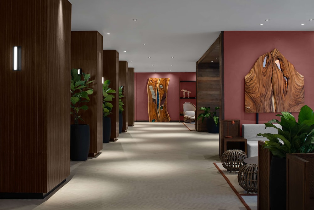 rok hotel kingston tapestry collection by hilton