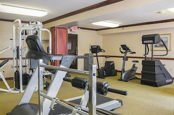 quality inn and suites detroit metro airport