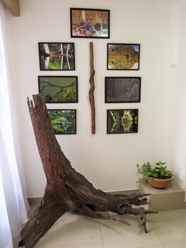 hotel casa dos frades