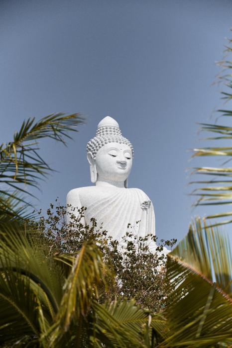 the mantra hotel