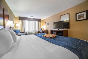 comfort inn grand junction i 70