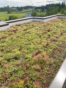 holiday inn express hotel and suites north sequim by ihg