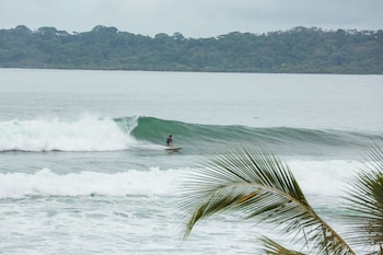 bocas del toro