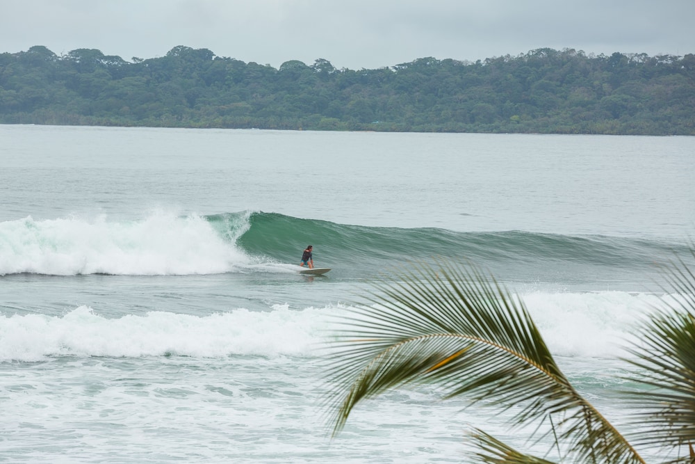 bocas del toro