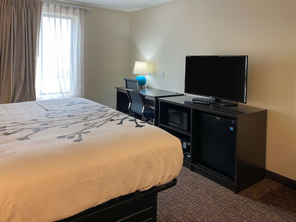 sleep inn and suites coliseum area