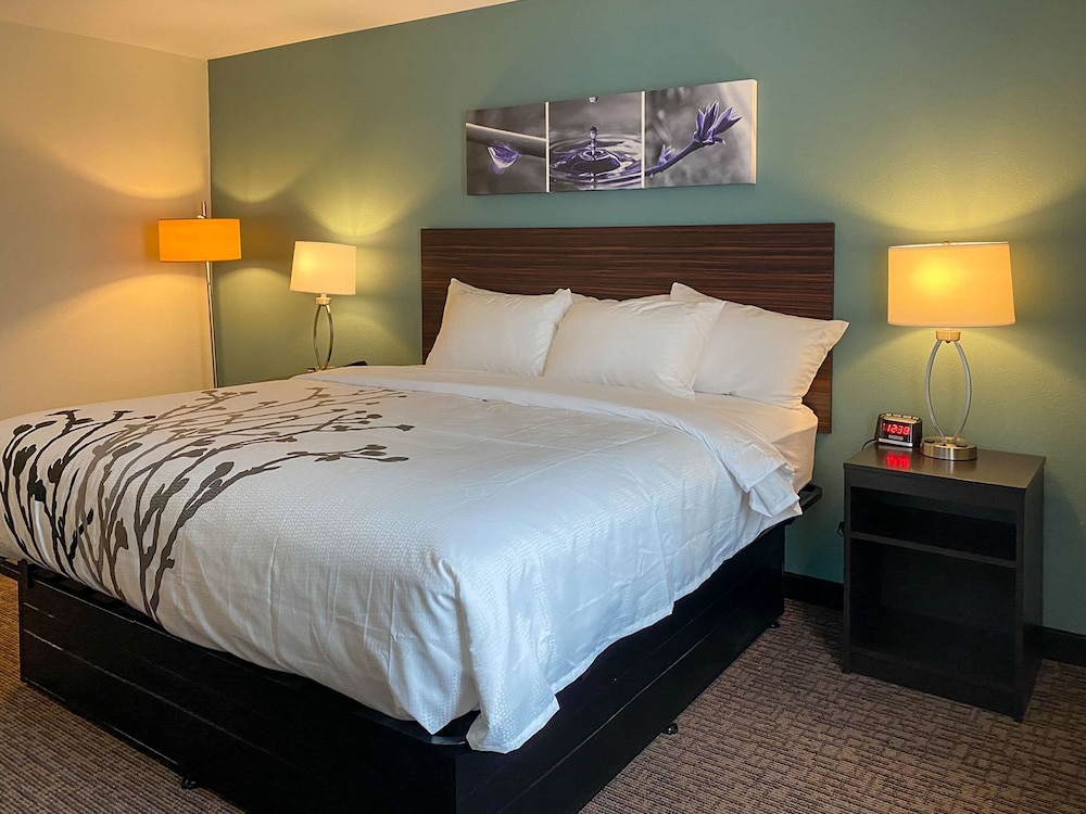 sleep inn and suites coliseum area