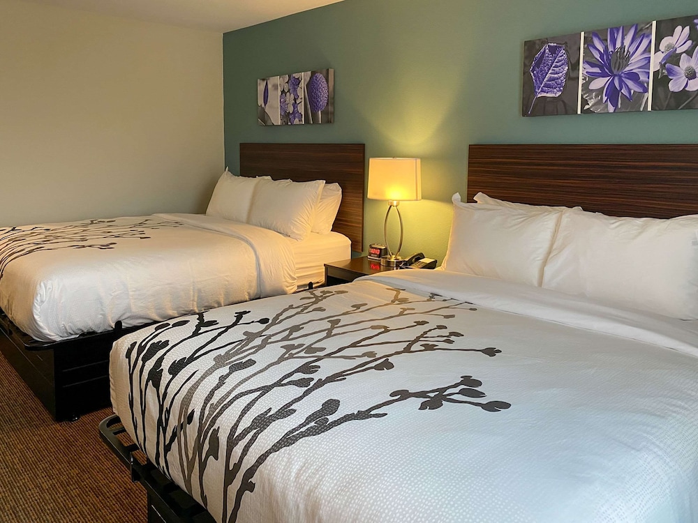 sleep inn and suites coliseum area