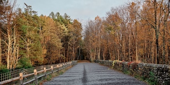 autocamp catskills