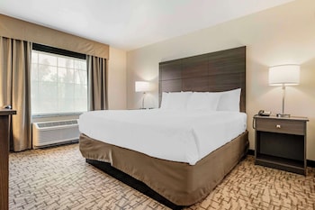 comfort inn and suites