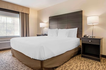 comfort inn and suites