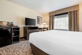 comfort inn and suites